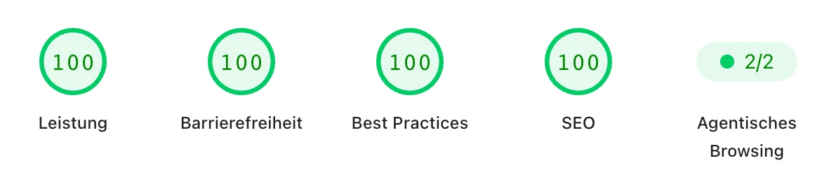 PageSpeed Insights, Computer: Leistung 100, Barrierefreiheit 100, Best Practices 100, SEO 100, Agentisches Browsing 2 von 2.